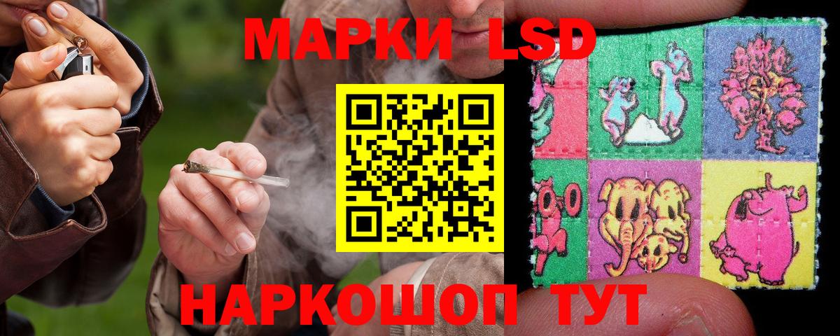 COCAIN  Канабис  Сколько стоит  A PVP СК кристаллы  Мурино  Меф МЯУ МЯУ кристаллы  Вход с VPN  ГАШ 
